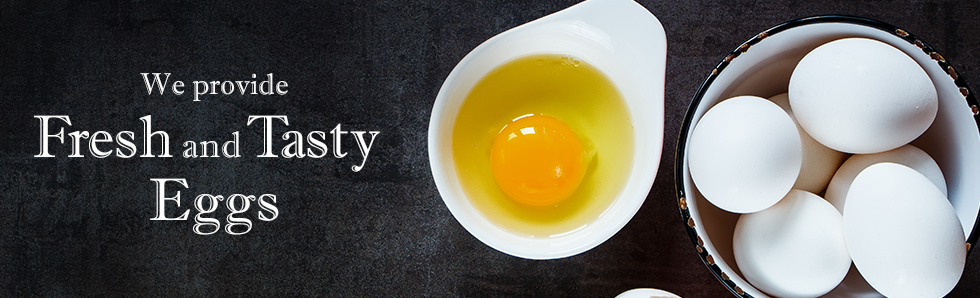 We provide Fresh and Tasty Eggs